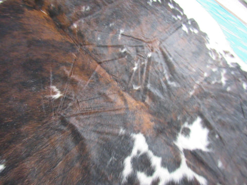 Big Tricolor Cowhide Rug Size: 8.2x7 feet M-1451