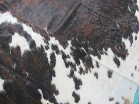 Big Tricolor Cowhide Rug Size: 8.2x7 feet M-1451