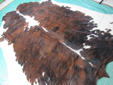 Tricolor Cowhide Rug Size: 7x7 feet M-1452