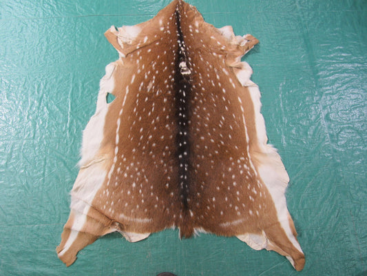 Tapis en peau de cerf Axis de deuxième qualité - Taille : 44"x34" Axis-630