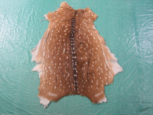 Tapis en peau de cerf Axis de deuxième qualité (forme étrange) Taille : 34x27 pouces Axis-633