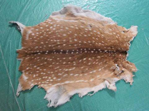 Second Grade Axis Deer Skin Rug - Size: 32"x26" Axis-632