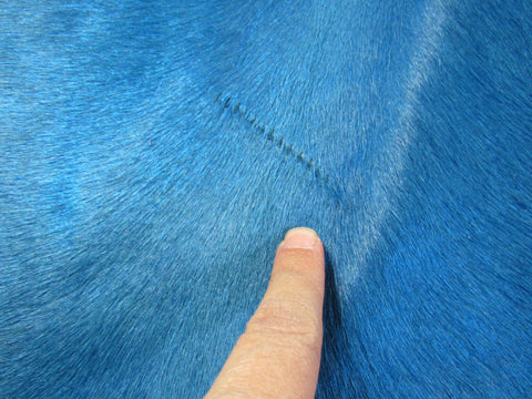 Dyed Blue Cowhide Rug (awesome color, beautiful shine, 1 stitch) Size: 7.2x7 feet C-1699