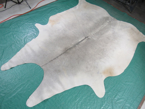 Natural Grey Cowhide Rug with Beige Belly Size: 7x6 feet C-1050