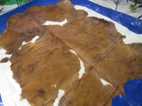 Gorgeous Tricolor Cowhide Rug Size: 8x7 feet M-1468