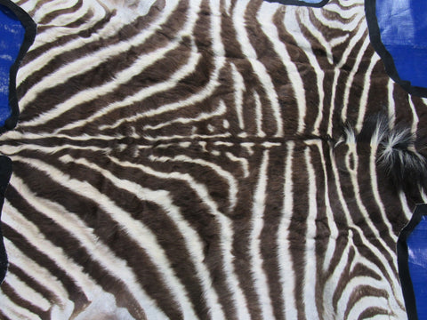 Real Zebra Skin Rug - Juvenile Size - BRAND NEW Burchell's Hide Zebra Rug - Size: 57"x52" (Tail is 21") #116