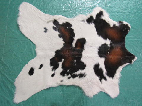 Tricolor Calf Skin Rug Size: 40x34 inches B-204