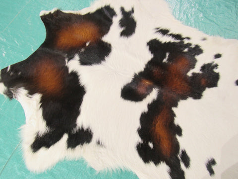 Tricolor Calf Skin Rug Size: 40x34 inches B-204