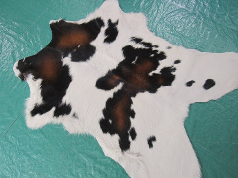 Tricolor Calf Skin Rug Size: 40x34 inches B-204