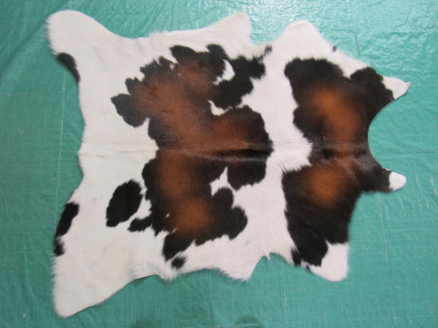 Tricolor Calf Skin Rug Size: 38x36 inches B-205