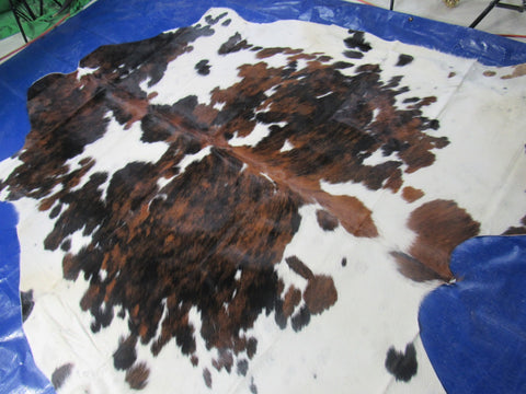 Tricolor Cowhide Rug Size: 7.2x7 feet M-1476