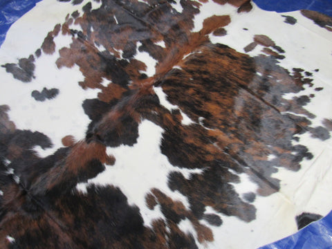 Tricolor Cowhide Rug Size: 7.2x7 feet M-1476