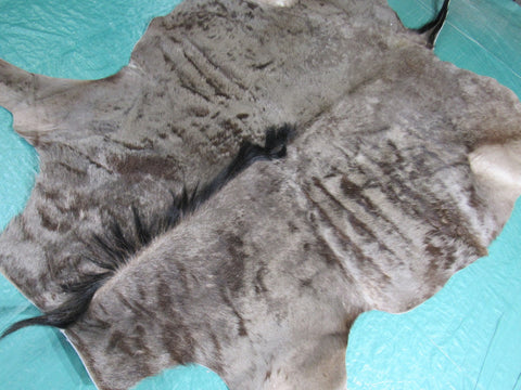 Blue Wildebeest Rug (tail is missing tip hairs) tail is 17" Size: 6x5 feet C-1459