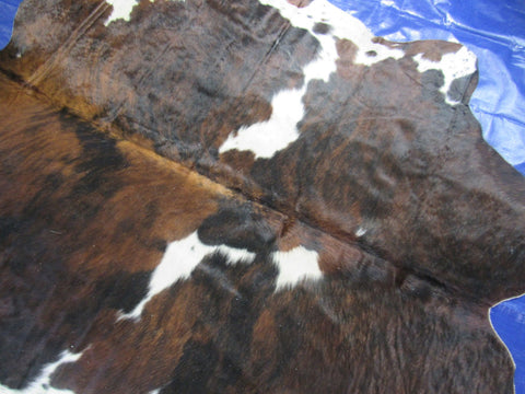 Tricolor Cowhide Rug Size: 6.7x6.2 feet M-1496