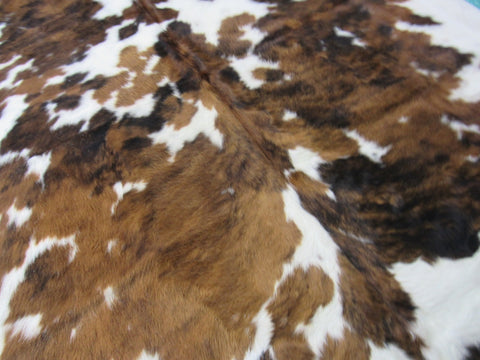 Gorgeous Tricolor Cowhide Rug Size: 6 1/2x5 3/4 feet B-212