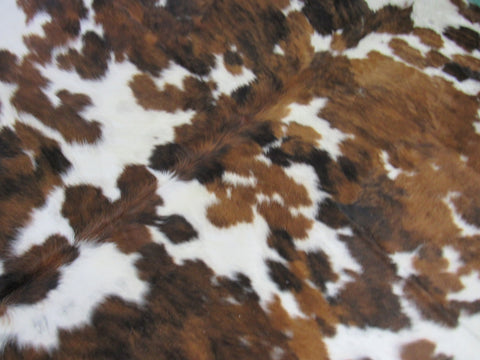 Gorgeous Tricolor Cowhide Rug Size: 6 1/2x5 3/4 feet B-212