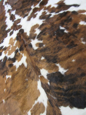 Gorgeous Tricolor Cowhide Rug Size: 6 1/2x5 3/4 feet B-212