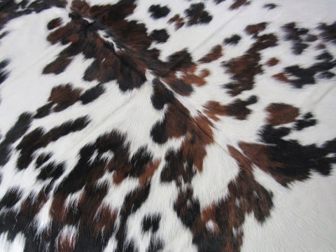 Beautiful Tricolor Cowhide Rug Size: 7x7 feet B-213