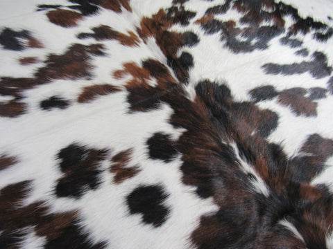 Beautiful Tricolor Cowhide Rug Size: 7x7 feet B-213