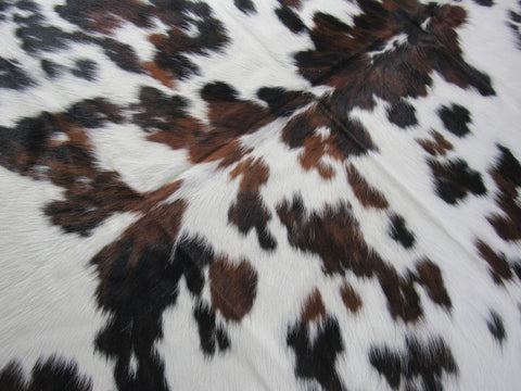 Beautiful Tricolor Cowhide Rug Size: 7x7 feet B-213