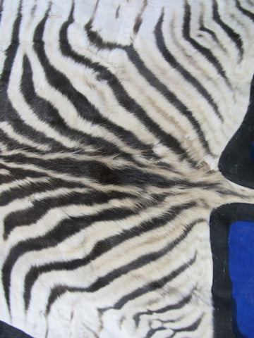 Real Zebra Skin Rug - Juvenile Size 63X36 inches - New MINI Baby Burchell's Zebra Hide #117