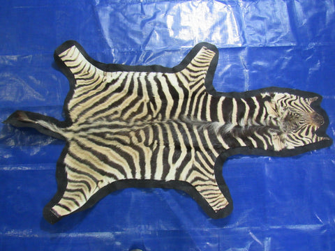 Small Felted Baby Zebra (Tail is 11"/ Has fuzzy hairs) Size: 60x33" #118