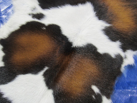 Tricolor Calf Skin - Size: 40"x32" O-1147