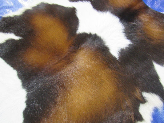 Tricolor Calf Skin - Size: 37"x33" O-1148