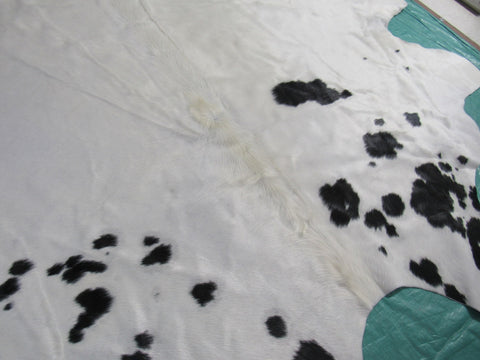 HUGE Black & White Cowhide Rug (Most black spots are in the neck area) Size: 9x7.5 feet B-217