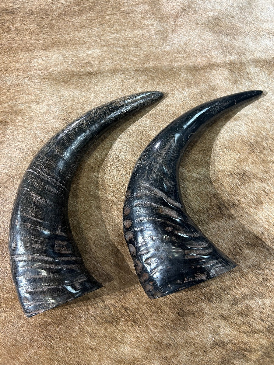 1 Polished Buffalo Horn, Gorgeous Polished Buffalo Horn Size: Approx. 10" (measured straight)/ Base is about 3 X 4" wide