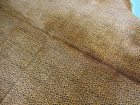 Cheetah Print Cowhide Rug Size: 7.5x5.5 feet B-227