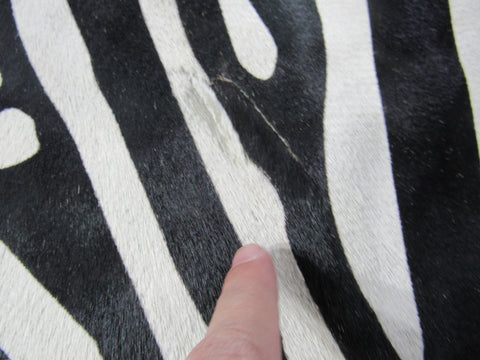 Zebra Cowhide Rug (small patch) Size: 7x6 feet B-235