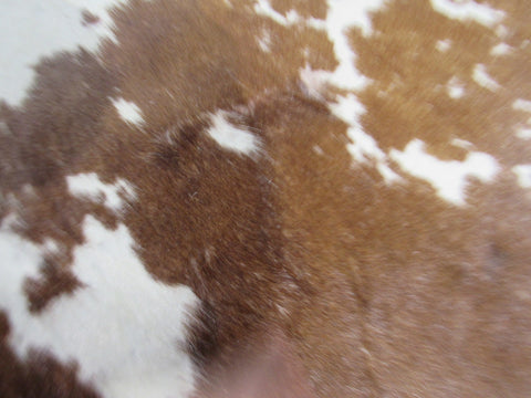 Gorgeous Brown & White Cowhide Rug (2 fire brands) Size: 7 3/4x6 1/2 feet B-239