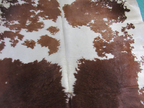 Gorgeous Brown & White Cowhide Rug (2 fire brands) Size: 7 3/4x6 1/2 feet B-239