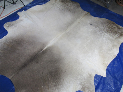 Gorgeous & Huge Light Grey/Light Beige Cowhide Rug Size: 8.2x7 feet M-1531