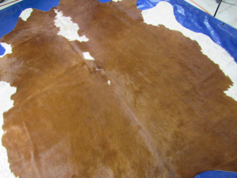 Giant Hereford Cowhide Rug Size: 8.5x8 feet M-1535