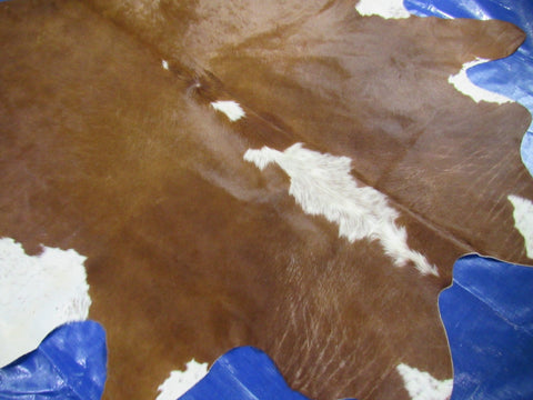 Giant Hereford Cowhide Rug Size: 8.5x8 feet M-1535