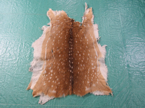 2nd Grade Axis Deer Skin Rug - Size: 38x28 inches Axis-639