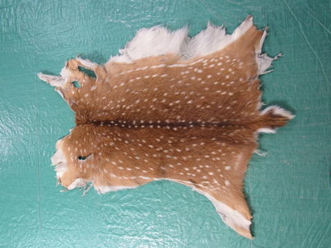 Axis Deer Skin Rug (2 holes) - Size: 34x30 inches Axis-640