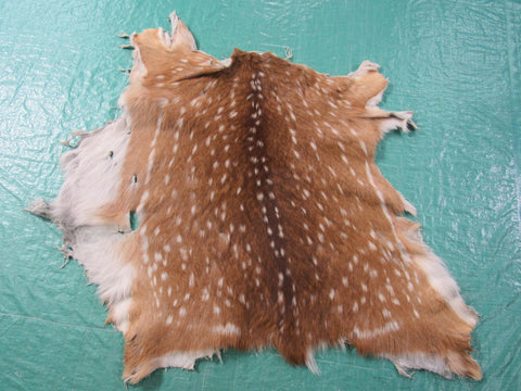 2nd Grade Axis Deer Skin Rug - Size: 27x31 inches Axis-641