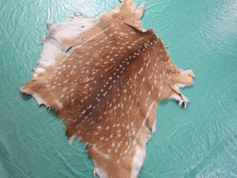 2nd Grade Axis Deer Skin Rug - Size: 27x31 inches Axis-641