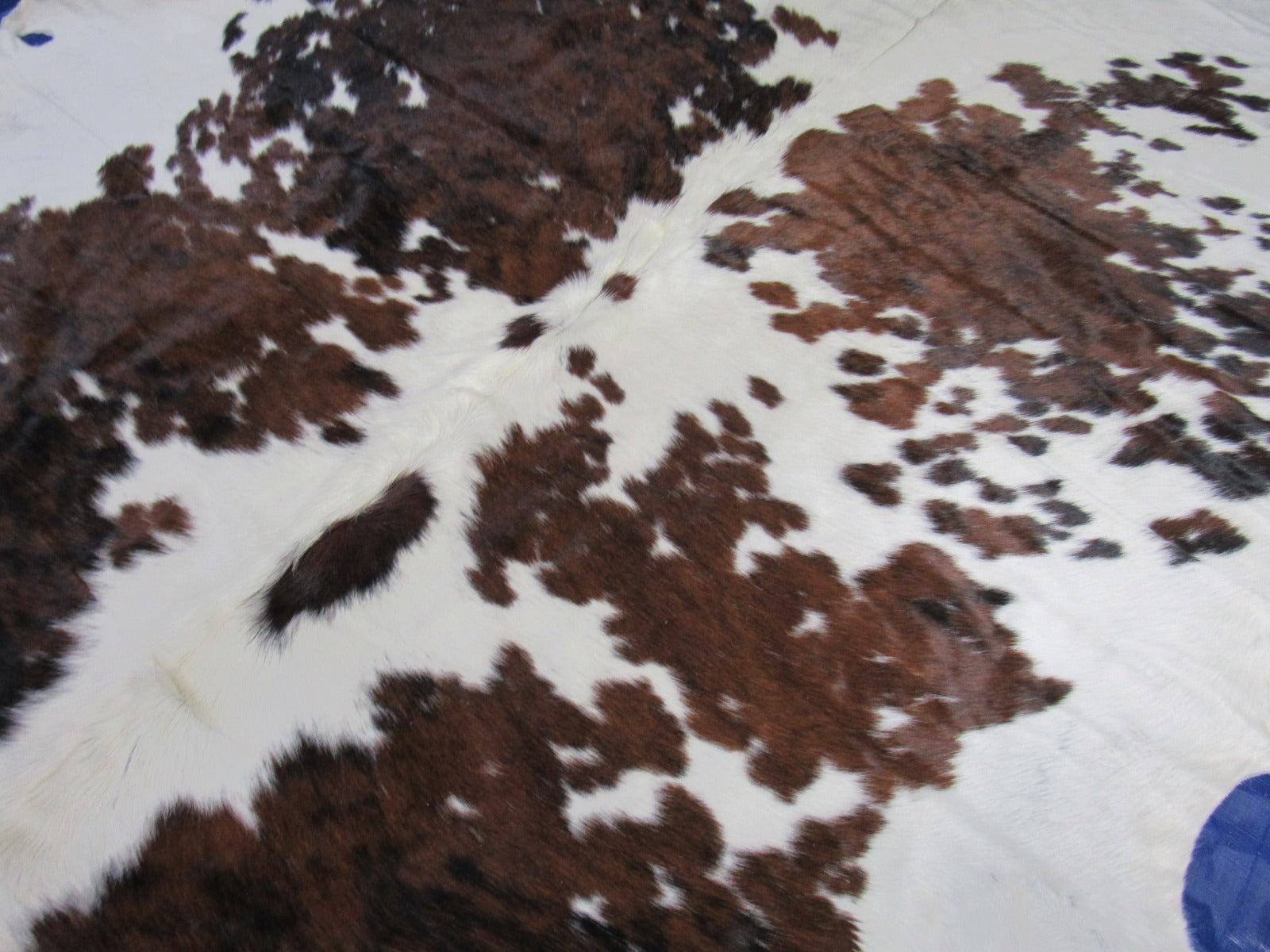 Speckled Tricolor Cowhide Rug (untrimmed) - Size: 8x8 feet M-1538
