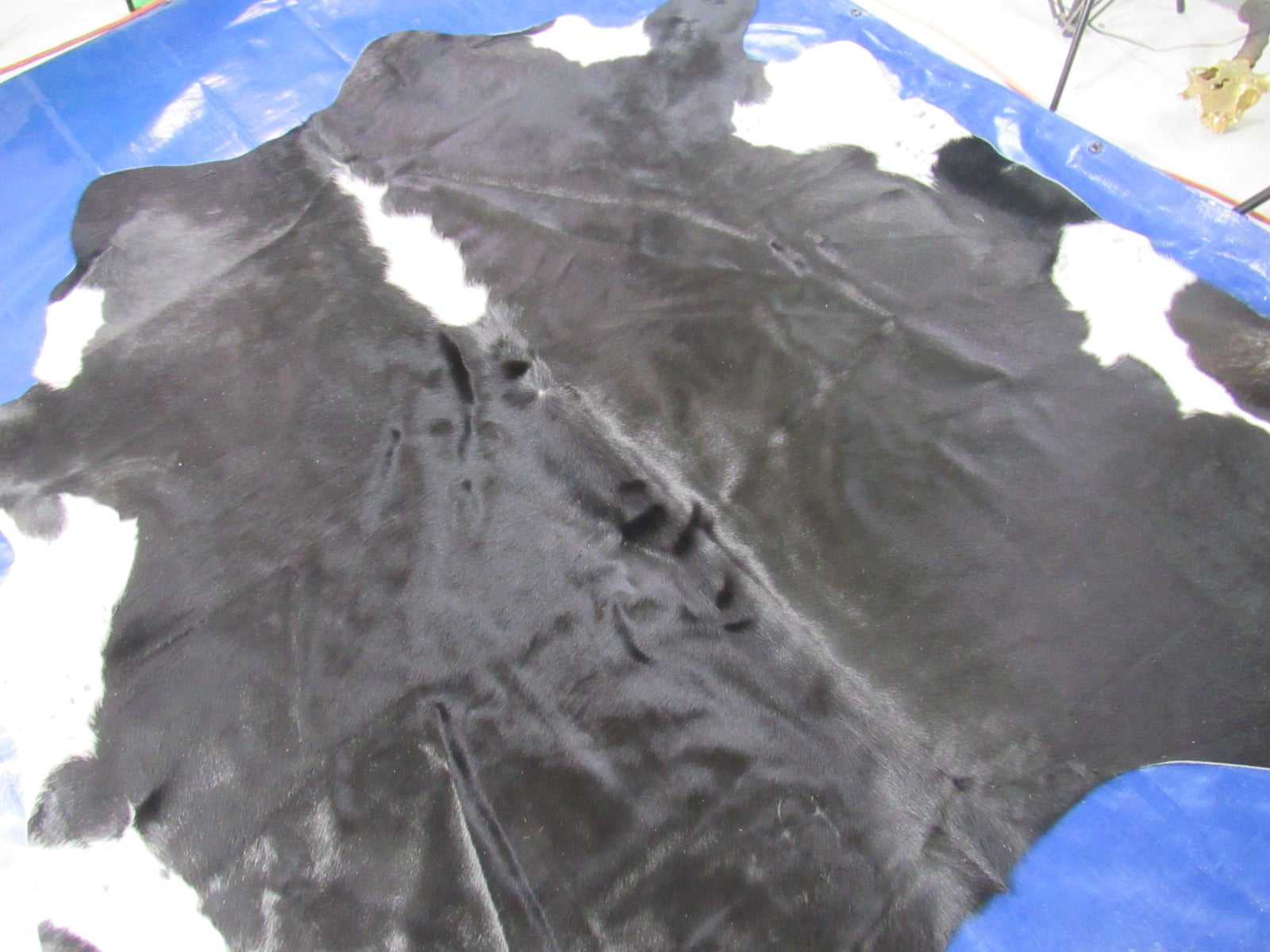 Black Hereford Cowhide Rug - Size: 7.7x7.7 feet M-1541