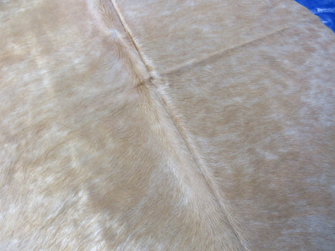 Dark Beige Cowhide Rug (shiny hair) Size: 6x6 feet M-1549