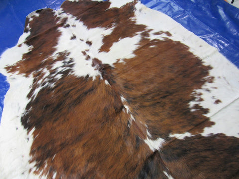 Speckled Tricolor Cowhide Rug - Size: 6x6 feet M-1558