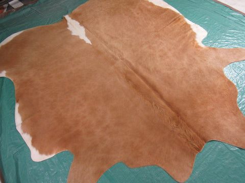 Beige Cowhide Rug with White Belly Size: 6x6.5 feet C-1472