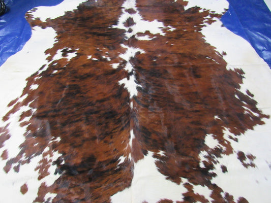 Speckled Tricolor Cowhide Rug - Size: 8x7.2 feet M-1563