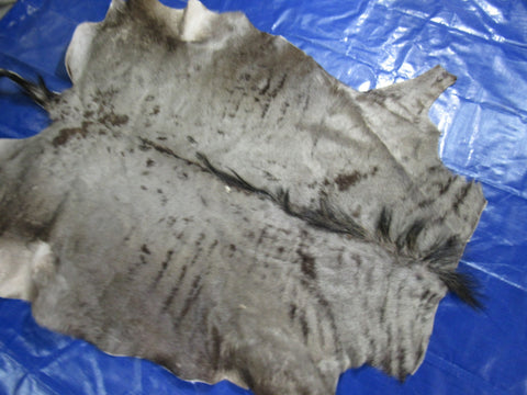 Wildebeest Skin (Tail is crooked) Size: 5.5x4.5 feet O-1158