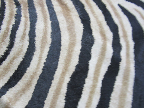 Genuine Zebra Print Cowhide Rug Size: 7 1/4' X 6' Black Stripes, Brown Inner Stripes Zebra Print Cowhide Rug B-247