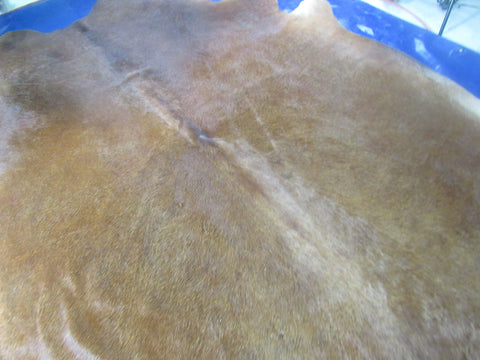 Giant Solid Brown Cowhide Rug - Size: 8.7x8 feet C-1712